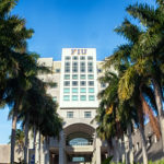 Clerical Error Floods FIU Campus With Excess Palm Trees