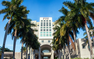 Clerical Error Floods FIU Campus With Excess Palm Trees