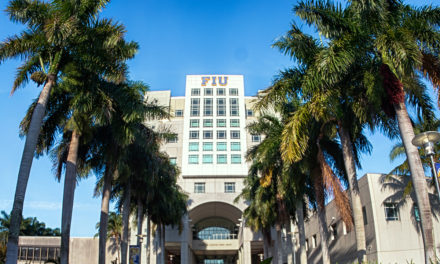 Clerical Error Floods FIU Campus With Excess Palm Trees